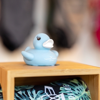 Detailaufnahme einer hellblauen Bade-Ente stehend auf einem Holzregal.