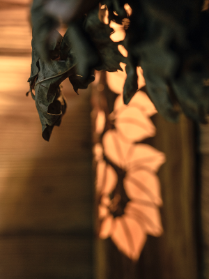 Detailaufnahme eines Blattes in der Sauna eines Wellnessbads in der Schweiz.