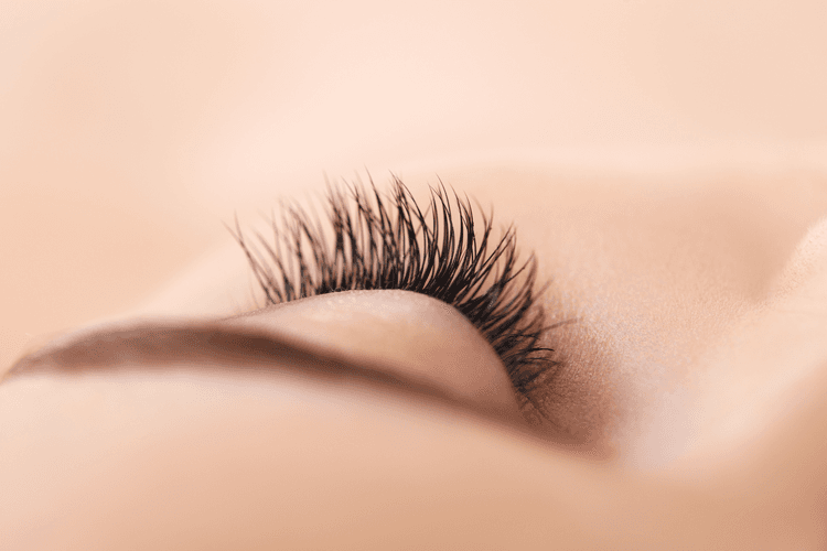 Detailaufnahme nachdem die Wimpern während einer Behandlung gefärbt wurden.