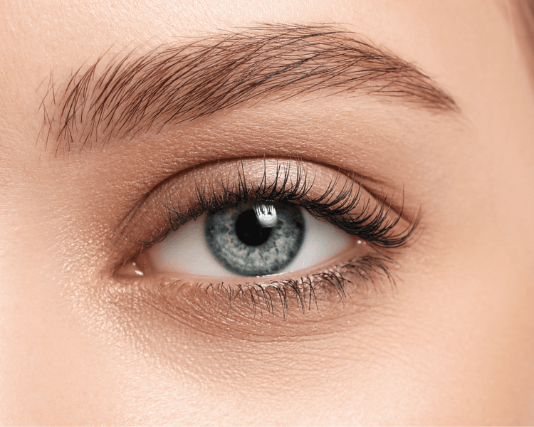 Wimpern & Augenbrauen