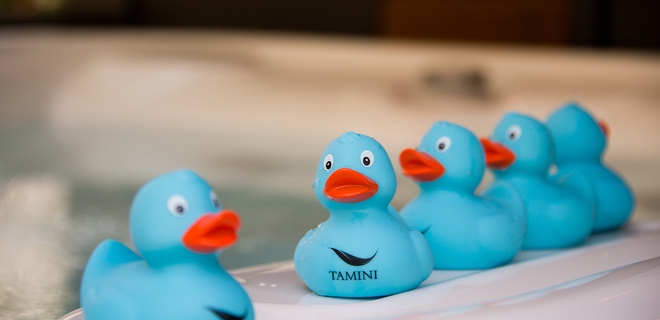 Blick auf mehrere kleine blaufarbene Quietsche-Enten mit der Aufschrift "Tamini".